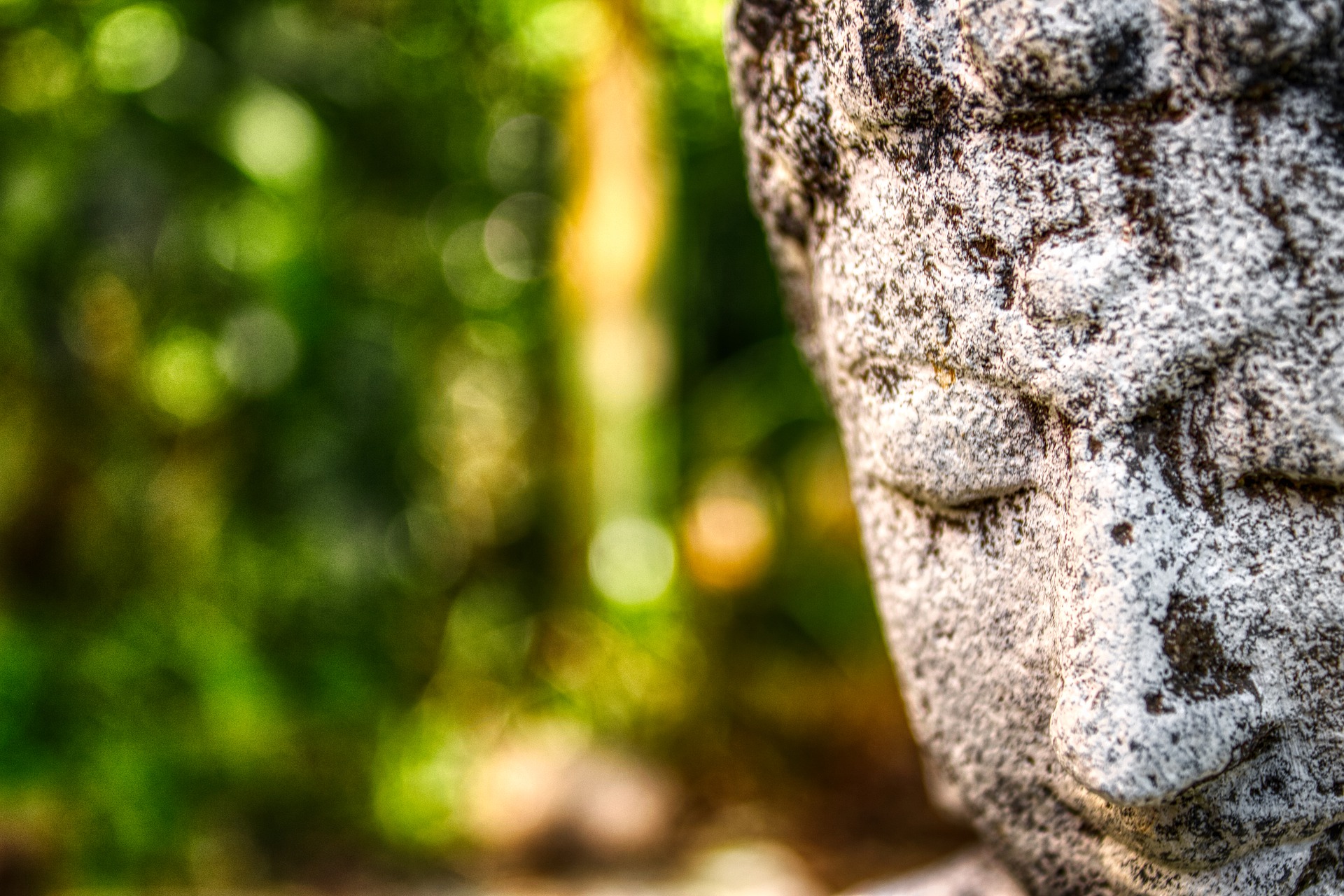 Buddha's meditation